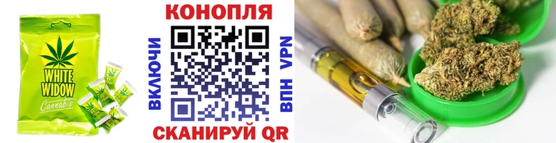 omg рабочий сайт  Чудово  Cannafood марихуана 