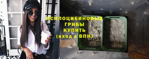 альфа пвп Няндома