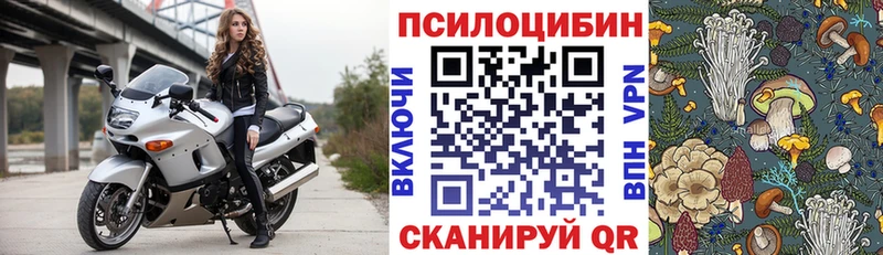 где можно купить   Чудово  Галлюциногенные грибы Cubensis 